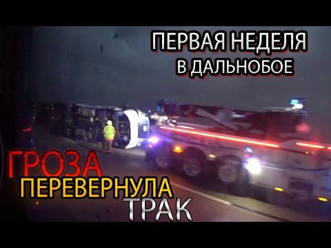 Видео: ДАЛЬНОБОЙ БЕЗ ОПЫТА! ПЕРВАЯ НЕДЕЛЯ! СКОЛЬКО ЗАРАБОТАЛ?