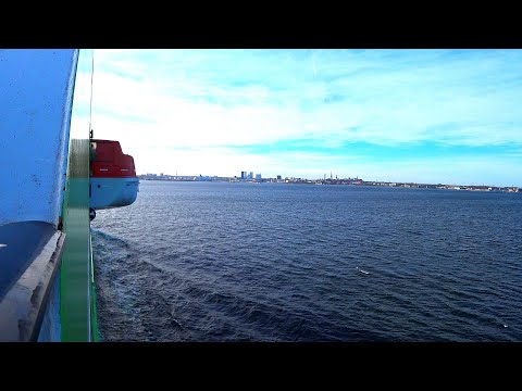 Видео: VLOG Деловое путешествие из Финляндии в Эстонию!