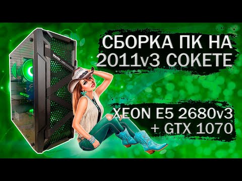 Видео: Сборка компьютера с Xeon E5 2680v3 на LGA 2011v3 и видеокартой Palit GTX 1070 - тесты в играх