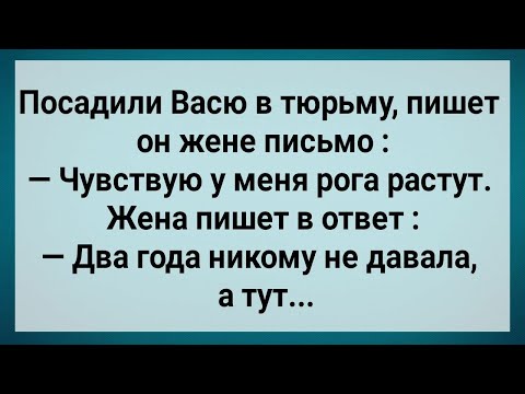 Видео: Как Васю в Тюрьму Посадили! Сборник Свежих Анекдотов! Юмор!