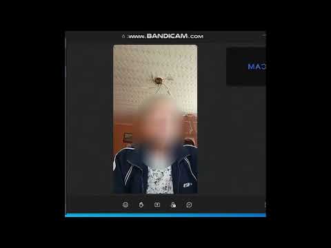 Видео: Спрашиваете- кто те, кто на это ведется ?Сделала вам небольшую подборочку. Конкурс Мамонт,дубль 2