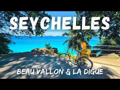 Видео: Пляжи, Велосипеды и Вид с Дрона 🇸🇨 Тихий влог с Сейшел