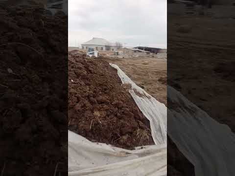 Видео: Боқтан ақша жасау.Кампост жасау  N:2.Сұрақтар болса +7775 428 02 70