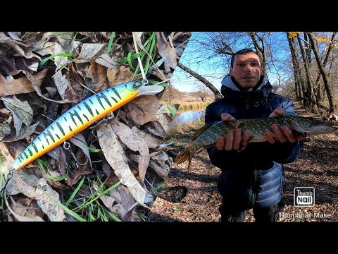 Видео: Цей воблер врятував👍🤘💪 всю рибалку 🎣. Сіверський Донець 🗺️. Ловимо щуку 🐟