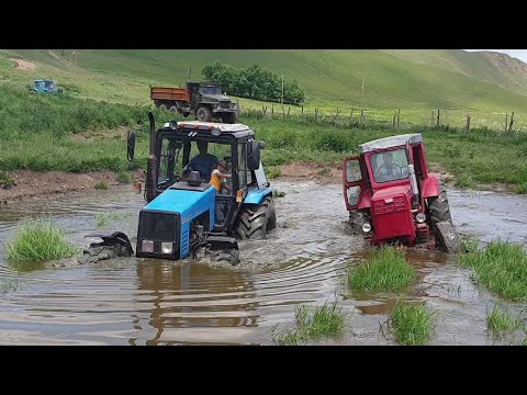 Видео: Что лучше? Трактор Т 40 против Трактор Беларус 1221 в Озере