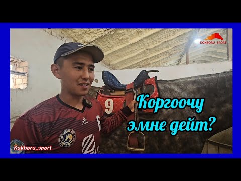 Видео: Достук командасынын коргоочусу Эмирлан: Көк бөрү болот дегенде зборго биринчи келдим 👆