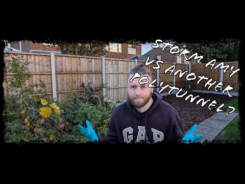 Видео: Шторм «Эми» обрушился на Великобританию — он снова разрушил политуннель?! | Новости сада бонсай