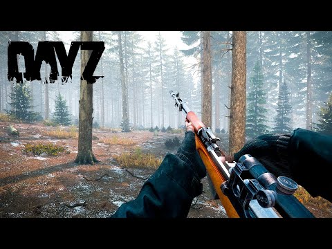 Видео: Тяжелый Путь КЕПКИ в  DayZ 1.28