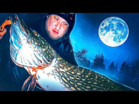 Видео: ЭТИ ДИНОЗАВРЫ НЕ ЛЕЗУТ В ЛУНКИ. Трофейные щуки прут на жерлицы