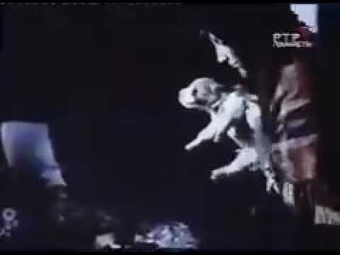 Видео: Волкодав кавказа Грузинская горная собака НАГАЗИ / отрывки из фильма Лома забытый друг