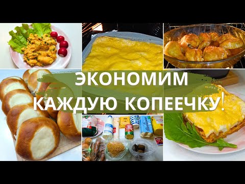 Видео: Живём на минималку. Как прожить 3 дня при бюджете в 1000 руб. на 4-х человек ? Экономное меню.
