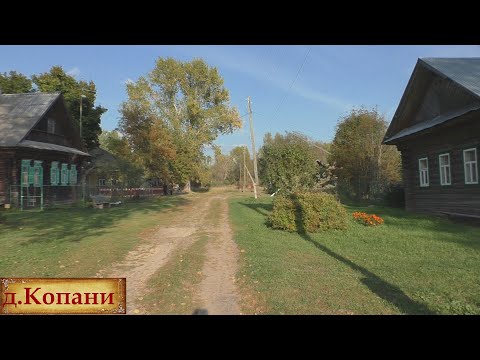 Видео: Красивая и уютная деревня в глубинке. Жилая деревня среди лесов и заросших полей. Заброшенные дома.