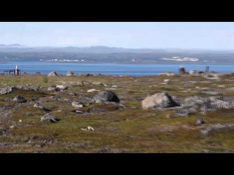 Видео: Скамейка и окрестности, август 2015