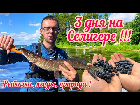 Видео: 3 дня с ДЕВУШКОЙ на СЕЛИГЕРЕ💥