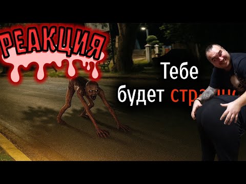 Видео: BloodyZefirot Реакция: Самые Ужасные Видео со Всего Мира #38 \ КОТЫ ЮТУБЕРЫ