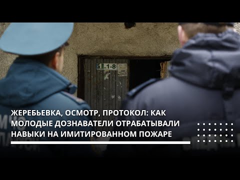 Видео: Жеребьевка, осмотр, протокол: как молодые дознаватели отрабатывали навыки на имитированном пожаре