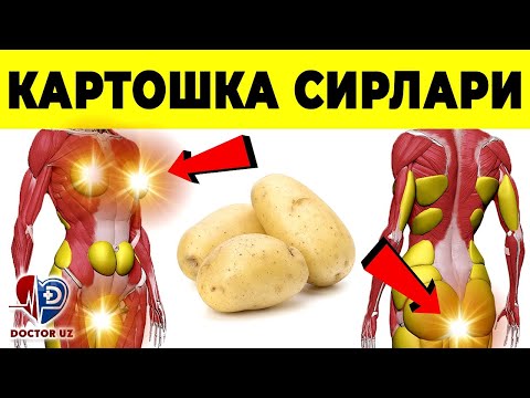 Видео: СИЗ ХАР КУН КАРТОШКА ИСТЕЪМОЛ ҚИЛАСИЗ БУ АНИҚ! ЛЕКИН АСЛИДА БУ ҚАНЧАЛИК ФОЙДАЛИ?