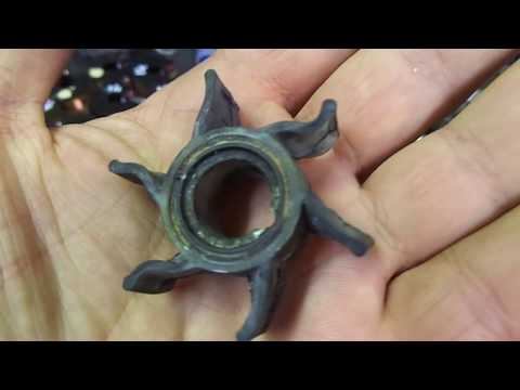 Видео: Selva Zongshen - 15. "нетрадиционный зверь"