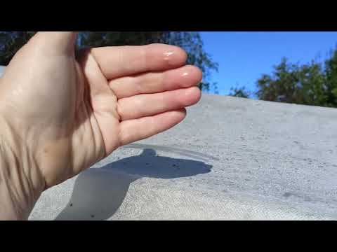 Видео: Защита томатов от холодных рос в августе.08.08.2025