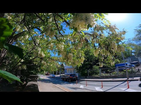 Видео: Записки севастопольского экскурсовода. Улица 4-я Бастионная