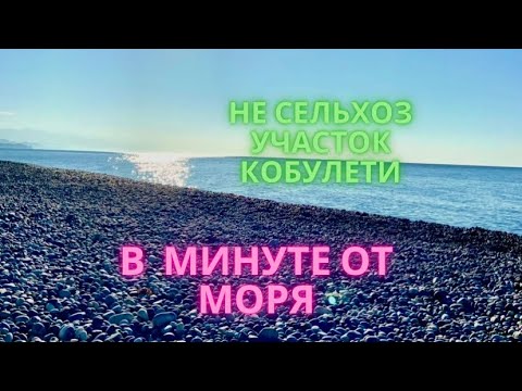 Видео: Перспективный участок у моря,не сельскохозяйственный, Кобулети. 150$-1 кв.м.