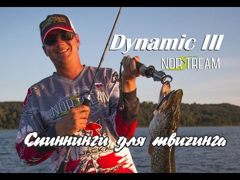 Видео: Спиннинги для твичинга. Norstream Dynamic III