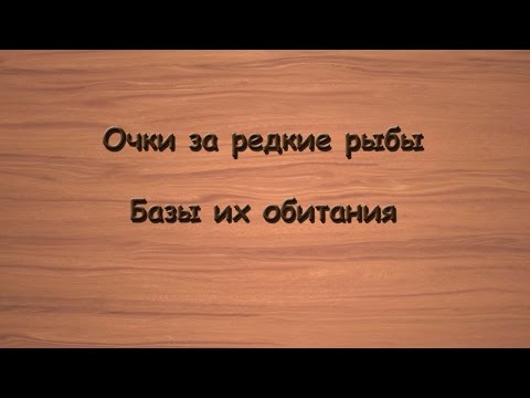 Видео: Русская Рыбалка 3.99 Очки за редкие рыбы