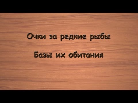 Видео: Русская Рыбалка 3.99 Очки за редкие рыбы