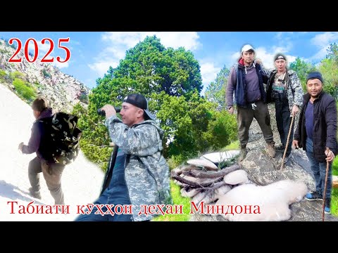 Видео: Сайри кӯҳҳои деҳаи Миндона,маёфка бо ҳамсинфон