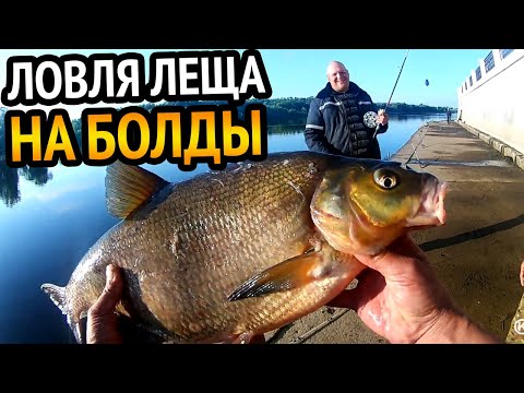 Видео: Ловля ЛЕЩА НА БОЛДЫ. Попали на ЖОР, подсак трещал по швам.