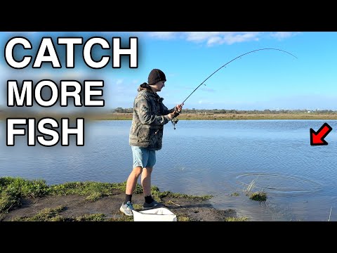 Видео: Как поймать тонны рыбы! (Простой метод для новичков)