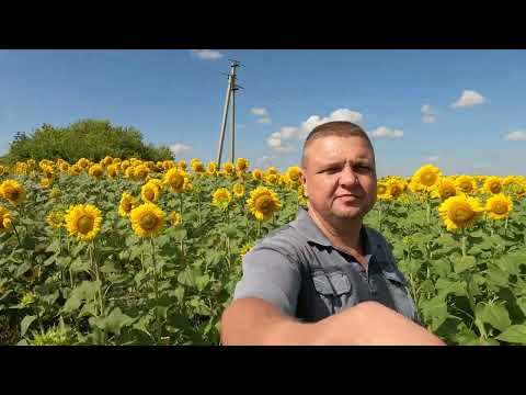 Видео: Актау   Сокольское, Нижегородская область, отпуск на машине