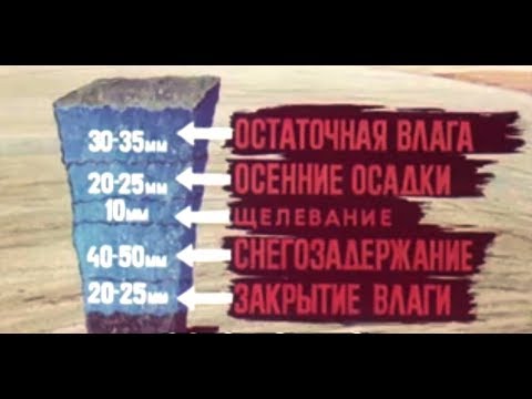 Видео: Задержание и сохранение влаги при весенних полевых работах