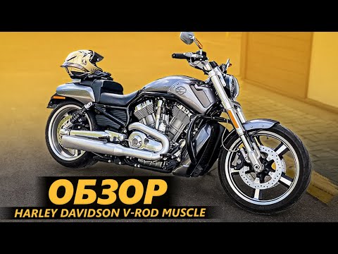 Видео: НЕ ОБЗОР Harley Davidson V-Rod Muscle. Мой каминаут