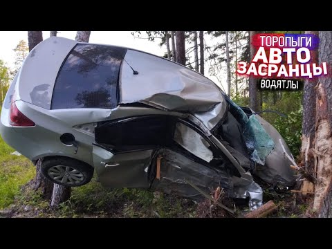 Видео: Да ну на ...! Мощные Замесы Торопыг и Водятлов!