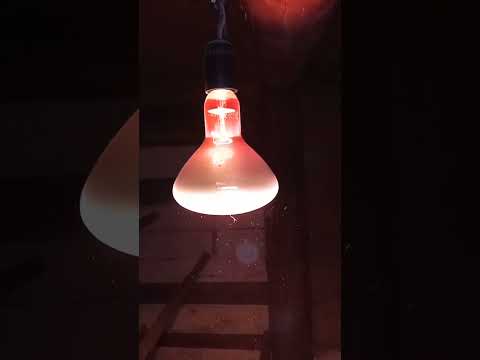 Видео: теплый курятник зимой