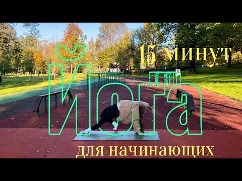 Видео: Йога для начинающих 15 минут 