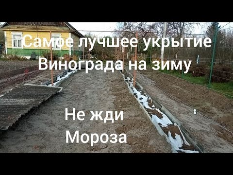 Видео: Самое лучшее укрытие винограда на зиму .Пора укрывать