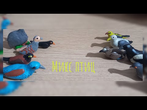 Видео: МИКС ПТИЦ! Лепим разных диких птиц.