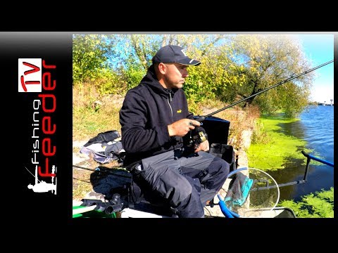 Видео: ☑️Vlog #23 Рыбалка на фидер. Ловля леща на осенней реке. Карп на фидер. Feederfishing tv