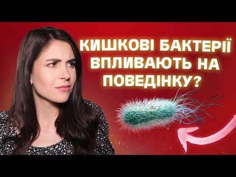 Видео: Як пов'язані мозок, кишечник і мікробіота?