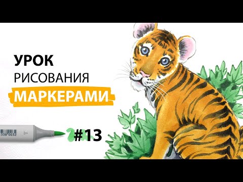 Видео: Как нарисовать тигренка? / Урок по рисованию маркерами для новичков #13