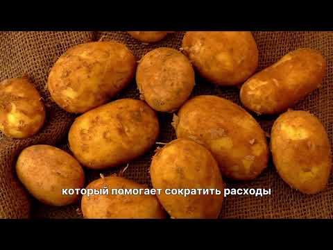 Видео: Стоимость жизни в Нидерландах