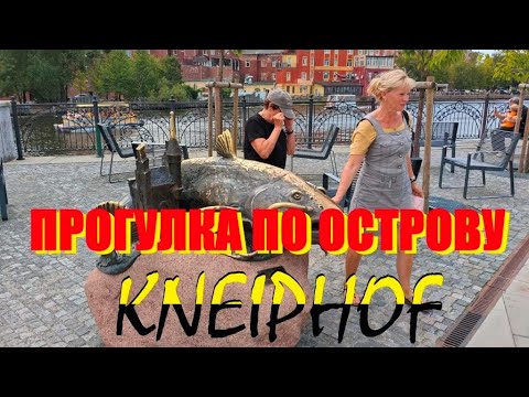 Видео: Ч6🦌Остров Канта,где время замедляет ход(ex. Kneiphof).Домский собор Богоматери и Святого Адальберта.
