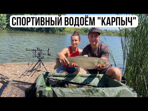 Видео: Карповая рыбалка на водоёме «Карпыч». Субботцы. Поймали амура.#carpfishing