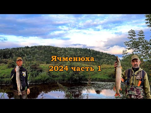 Видео: Ячменюха 2024. Рыбалка на малой речке.Часть 1.