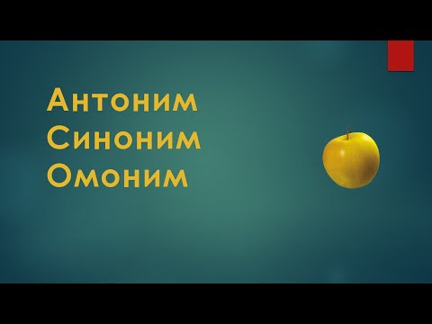 Видео: Синоним, антоним, омоним сөздер.