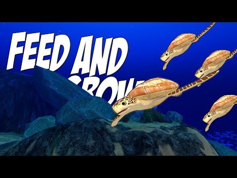 Видео: МОРСКИЕ ЧЕРЕПАХИ! НОВЫЕ РЫБКИ, ОБНОВЛЕНИЕ | Feed and Grow: Fish