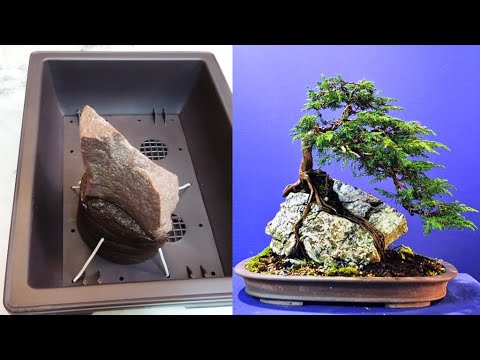 Видео: 🌿 Бонсай - надёжное крепление камня в цветочном горшке (Bonsai and stone).