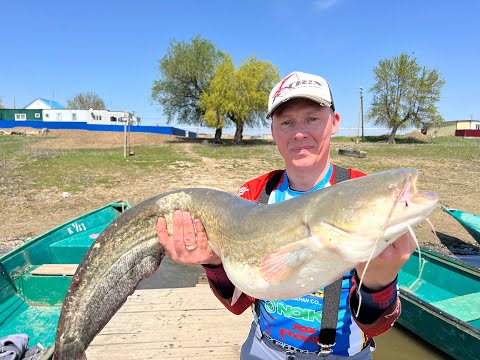 Видео: Бакланье. 2022 апрель. Рыбалка с друзьями. Все виды рыбы.